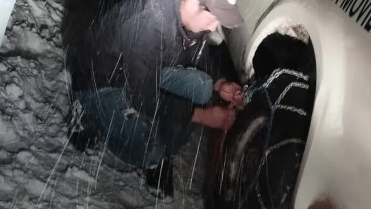 El peón rural fue rescatado tras un amplio operativo. El peón rural fue rescatado tras un amplio operativo.