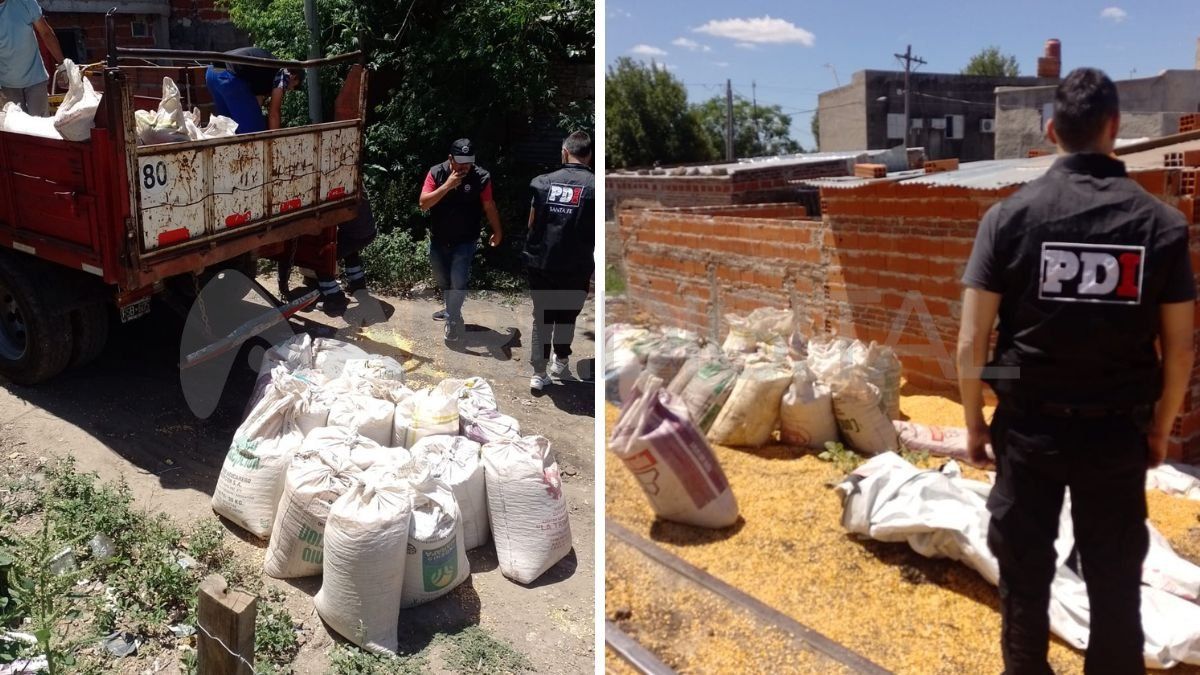 En un procedimiento realizado en el barrio Santa Rosa de Lima secuestraron 10 toneladas de cereal.