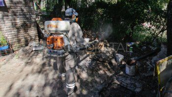 Advierten que, con el cambio climático, aumentarán los casos de dengue y leptospirosis en Santa Fe