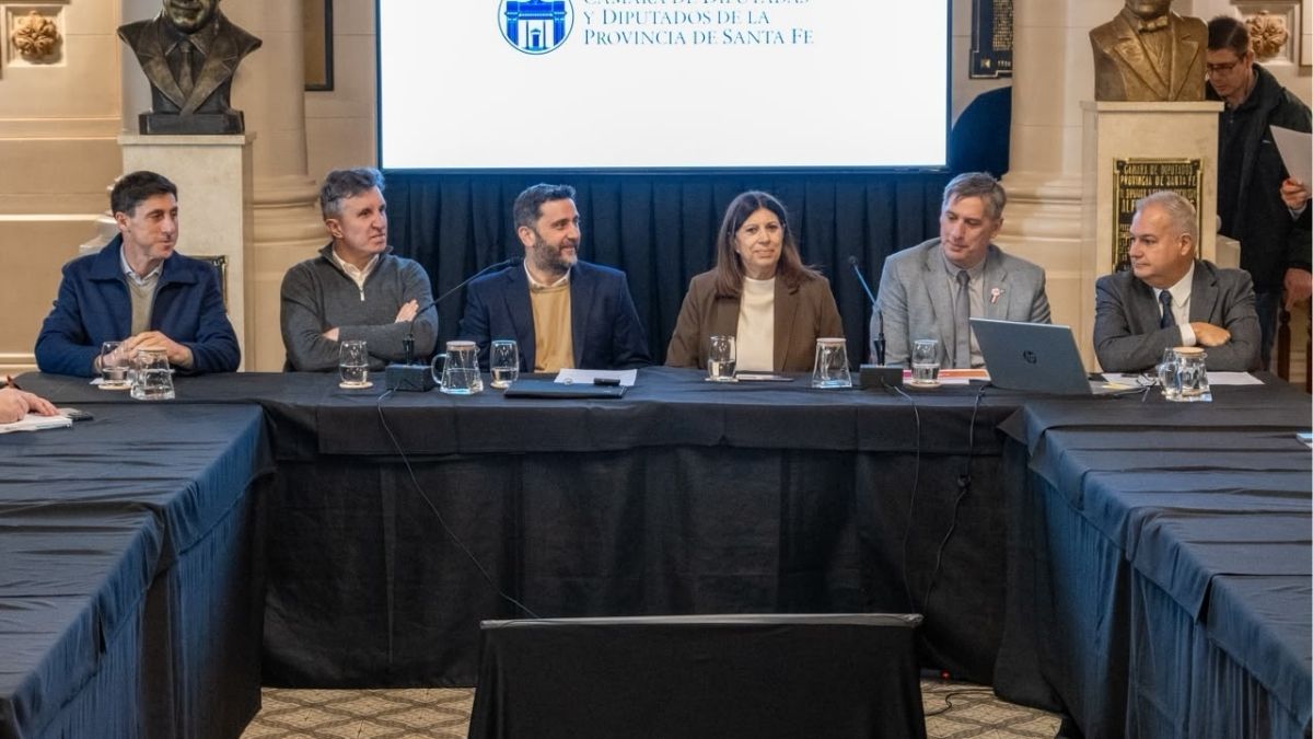 Con una importante participación de diversos representantes, se realizó este viernes la jornada Dilemas de la economía argentina actual: la realidad productiva en el país de Vaca Muerta en la Cámara de Diputados de Santa Fe.