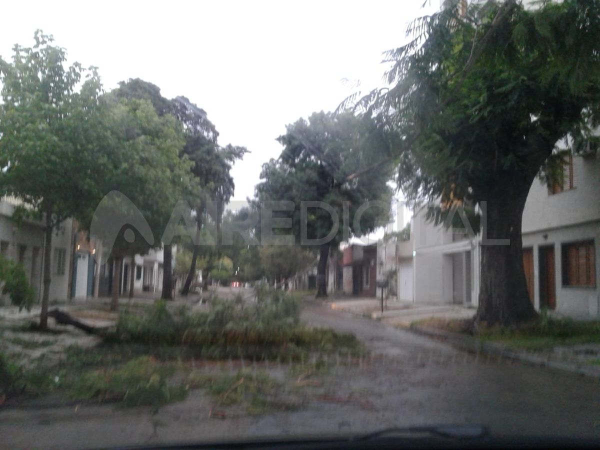 El barrio Sur de la ciudad de Santa Fe fue uno de los más afectados en cuanto a la caída de árboles y ramas.