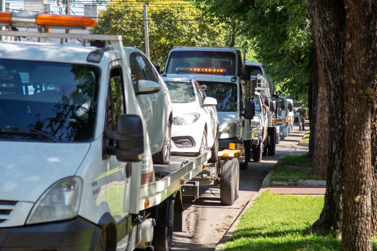 Este lunes retiraron 50 autos