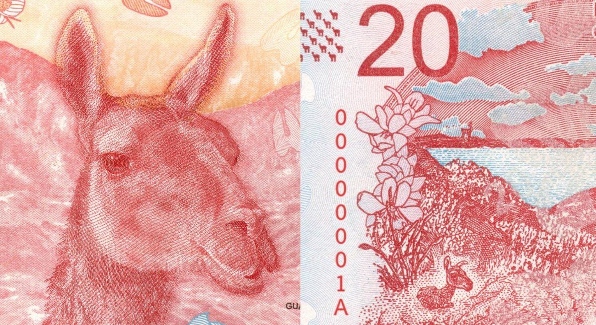Ya circula el nuevo billete de $20: ¿cómo diferenciar uno auténtico de uno falso?