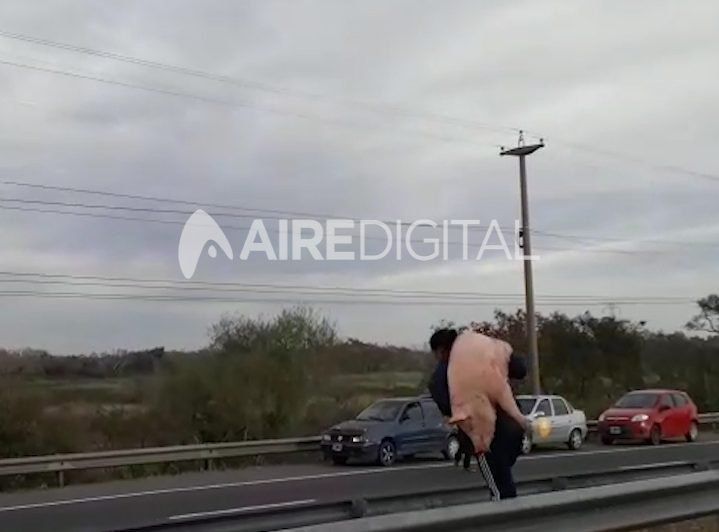 Video viral: los vecinos, enloquecidos por llevarse las medias reses de cerdo que perdió el camión