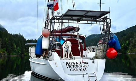 Una pareja renunció a sus trabajos, compró un barco y planea viajar por el mundo: los detalles