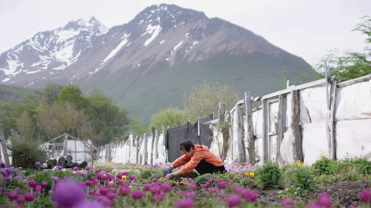 El jueves 8 de julio desde las 22.30 (Arg) llega&nbsp;Halmoni
