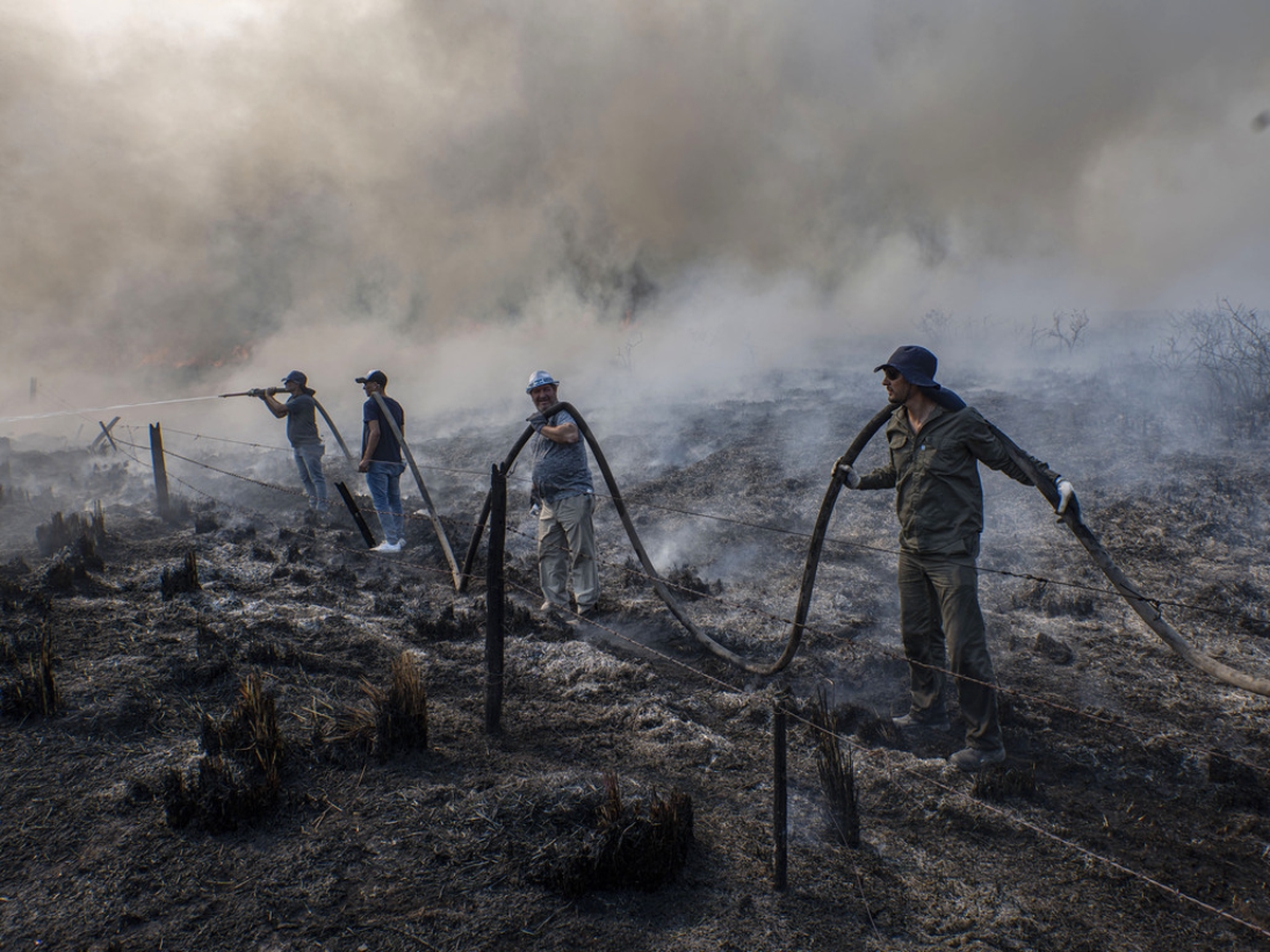 En el corazón de la provincia están los Esteros del Iberá, el humedal mas grande de Argentina y el segundo más grande de América, que está afectado por el fuego y el riego que corre este ecosistema es devastador. 