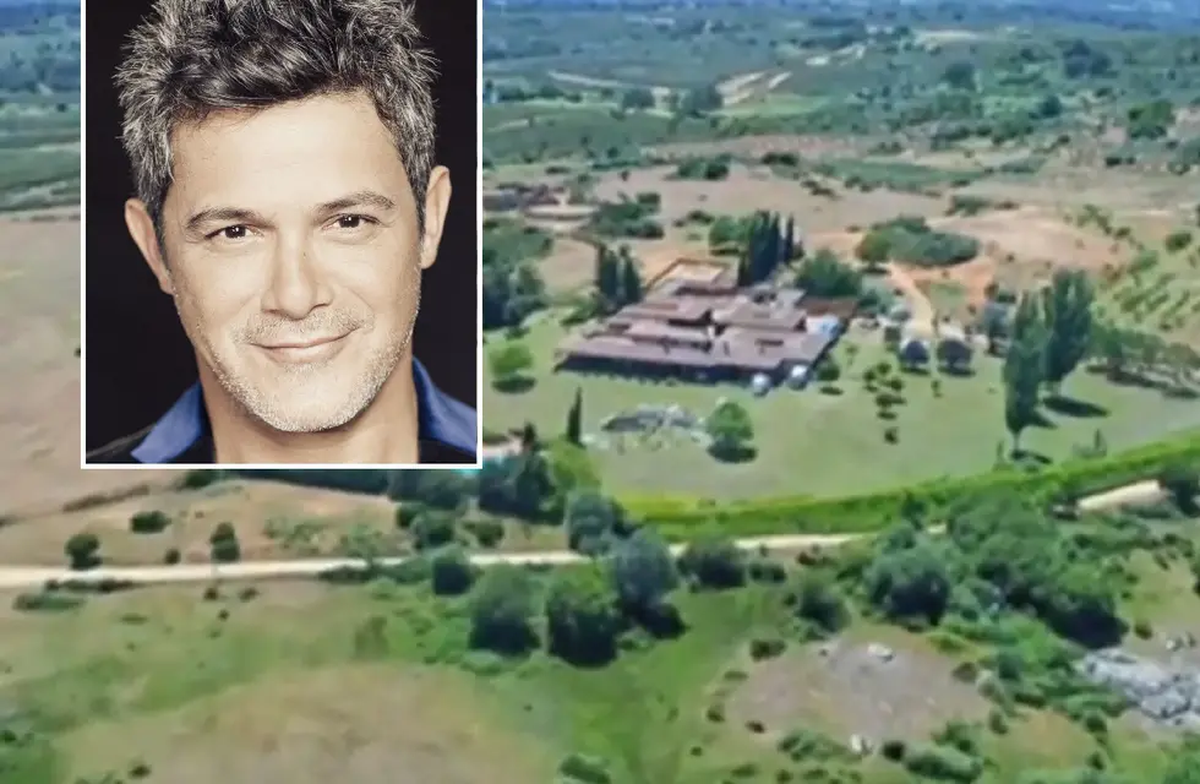 La mansión de Alejandro Sanz en España: arte
