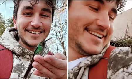 El increíble video de un colibrí jugando con un joven de Mendoza El increíble video de un colibrí jugando con un joven de Mendoza