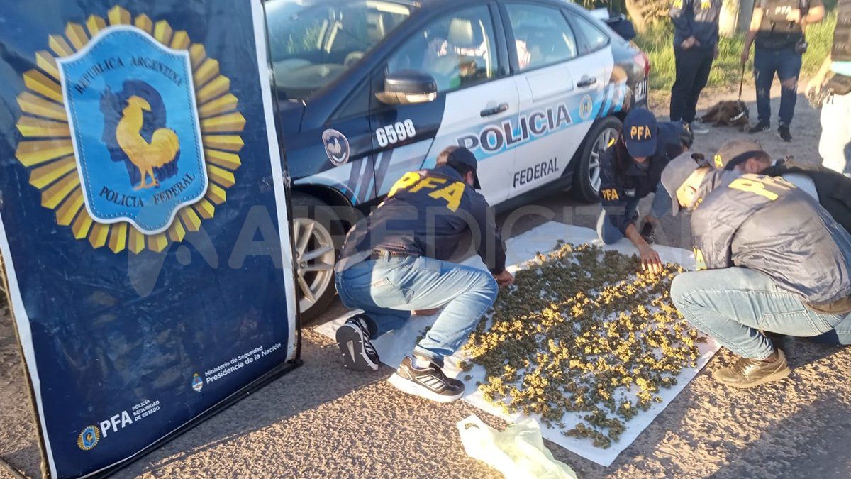 La marihuana fue secuestrada por orden de la Justicia federal. La marihuana fue secuestrada por orden de la Justicia federal.