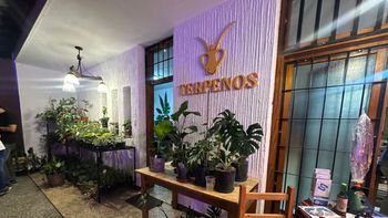 Los fundadores de Terpenos y Santa Fe Idiomas celebraron la inauguración del espacio en General Paz 5161.