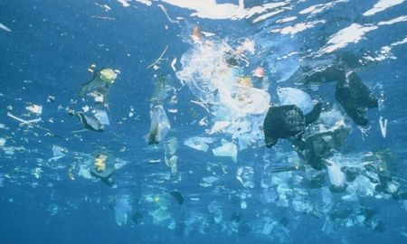 envases plasticos ?activos? y biodegradables, el foco de investigacion de una cientifica argentina en espana envases plasticos ?activos? y biodegradables, el foco de investigacion de una cientifica argentina en espana