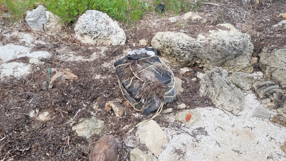 Estaba en una playa de Miami y encontró una bolsa llena de droga. Estaba en una playa de Miami y encontró una bolsa llena de droga.