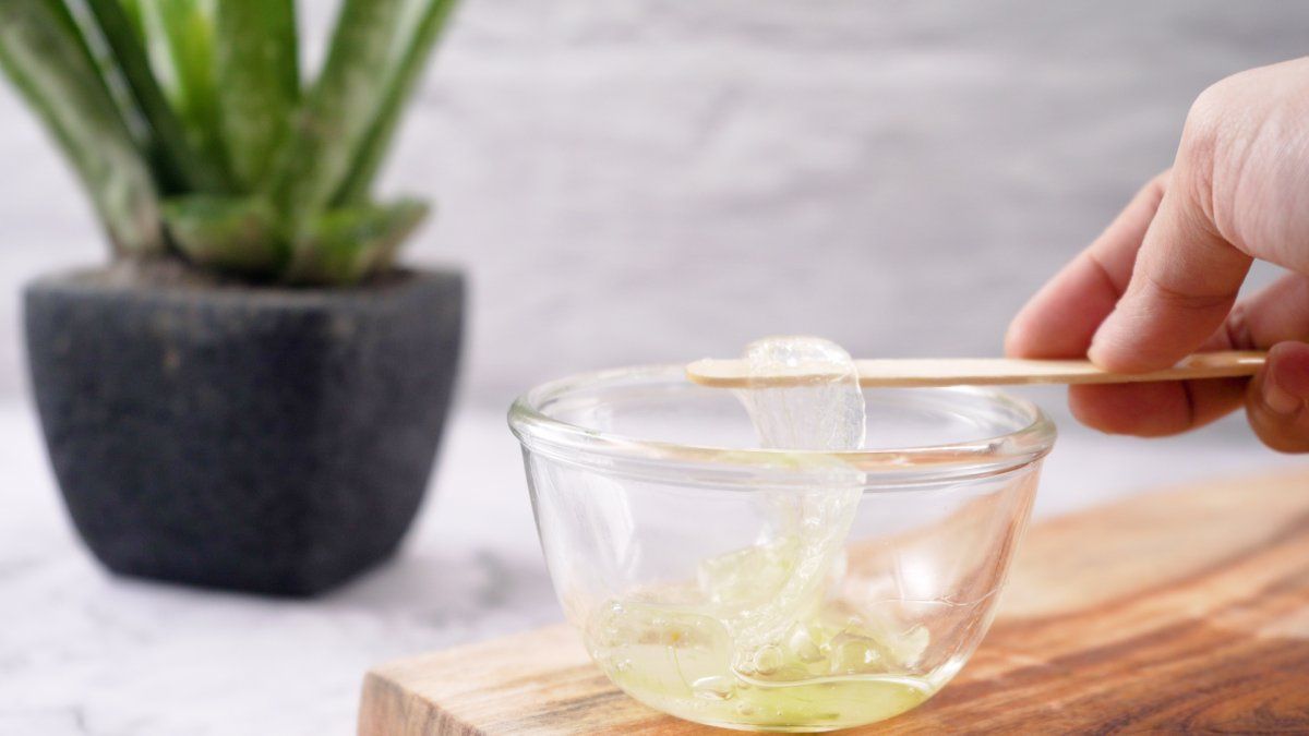 Esta planta cuenta con múltiples propiedades