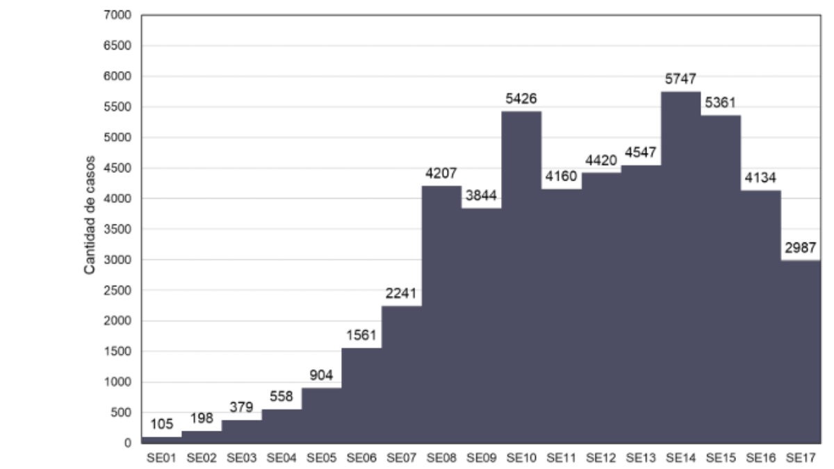 En el gráfico se describen los casos según sexo y grupo etario. Con excepción de las edades menores de 14 años, se describe una mayor proporción de casos en el sexo legal femenino respecto al masculino. En el gráfico se describen los casos según sexo y grupo etario. Con excepción de las edades menores de 14 años, se describe una mayor proporción de casos en el sexo legal femenino respecto al masculino.