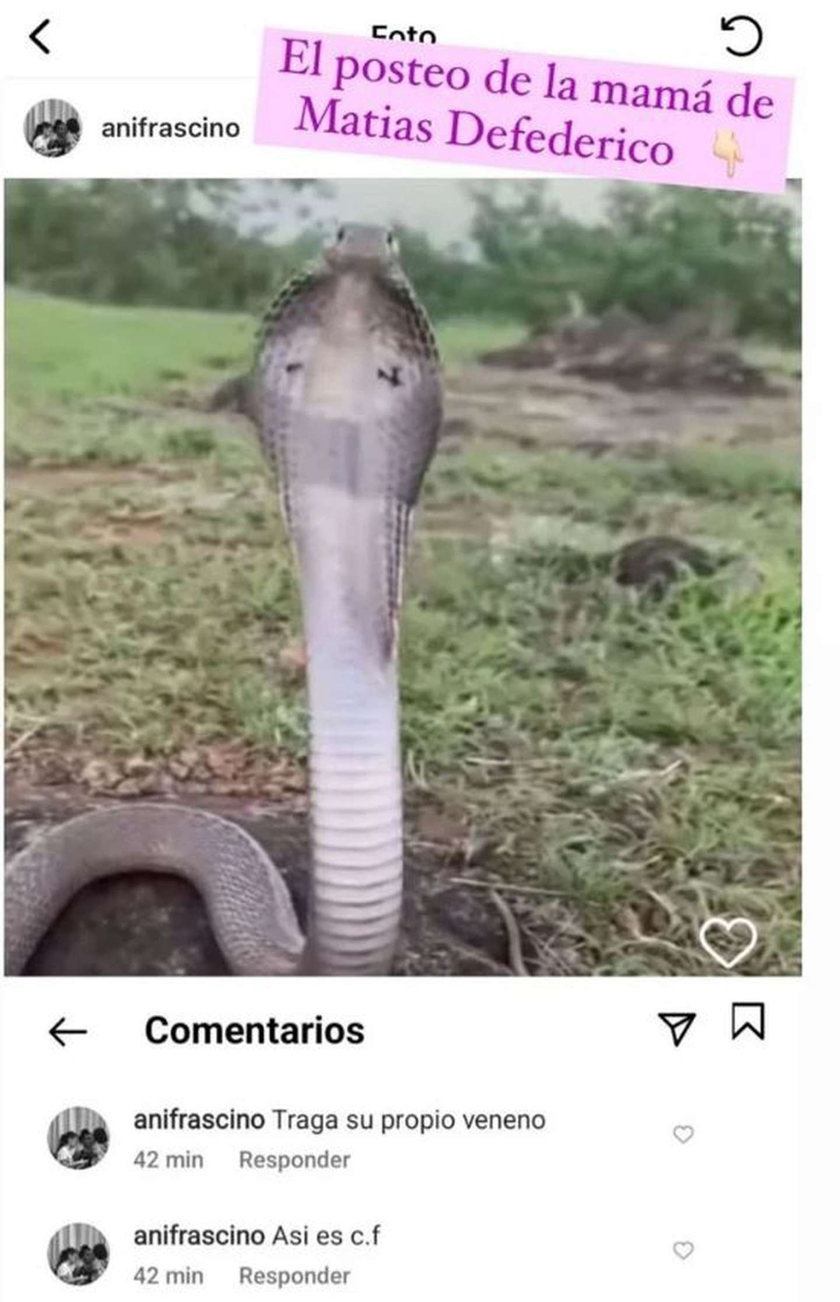 La mamá de Matías Defederico se enojó con Cinthia Fernández.