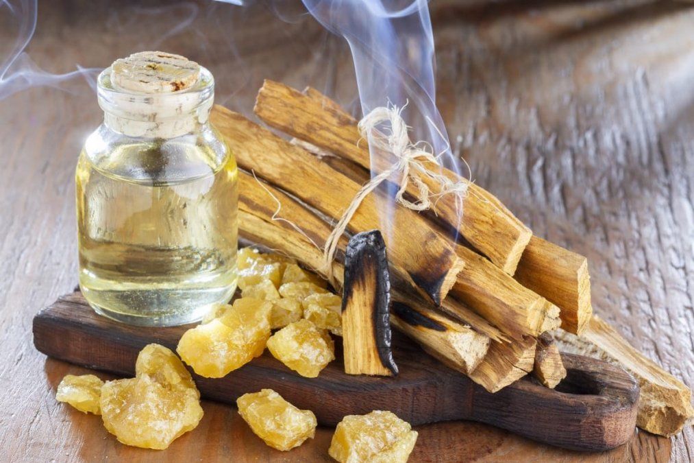 Palo Santo para limpiar la casa: limpiezas energéticas y beneficios.