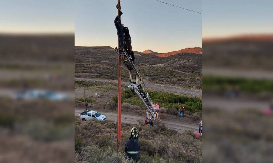 Quedó dos horas colgado cuando robaba cables con su mujer y su bebé en la ruta: debió ser rescatado