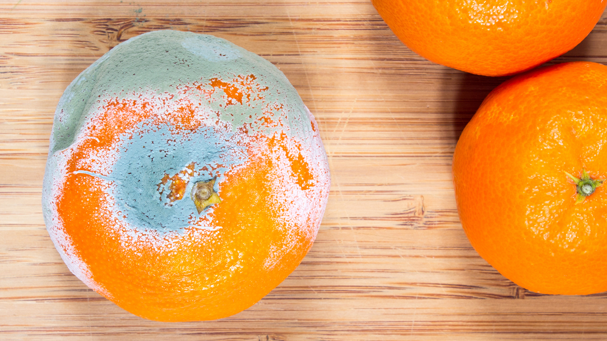 Por qué es peligroso consumir alimentos contaminados con MOHO