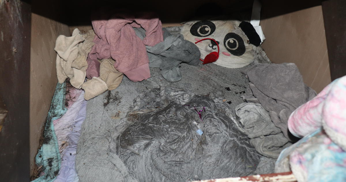 La horrenda entrada de la habitación donde estaba la pequeña Paislee Shultis, de siete años, debajo de una escalera en una casa de Saugerties, Nueva York.