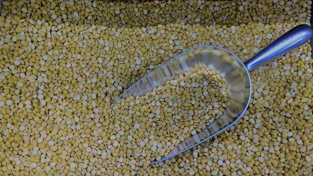 Propiedades y beneficios que aporta la lenteja para la salud