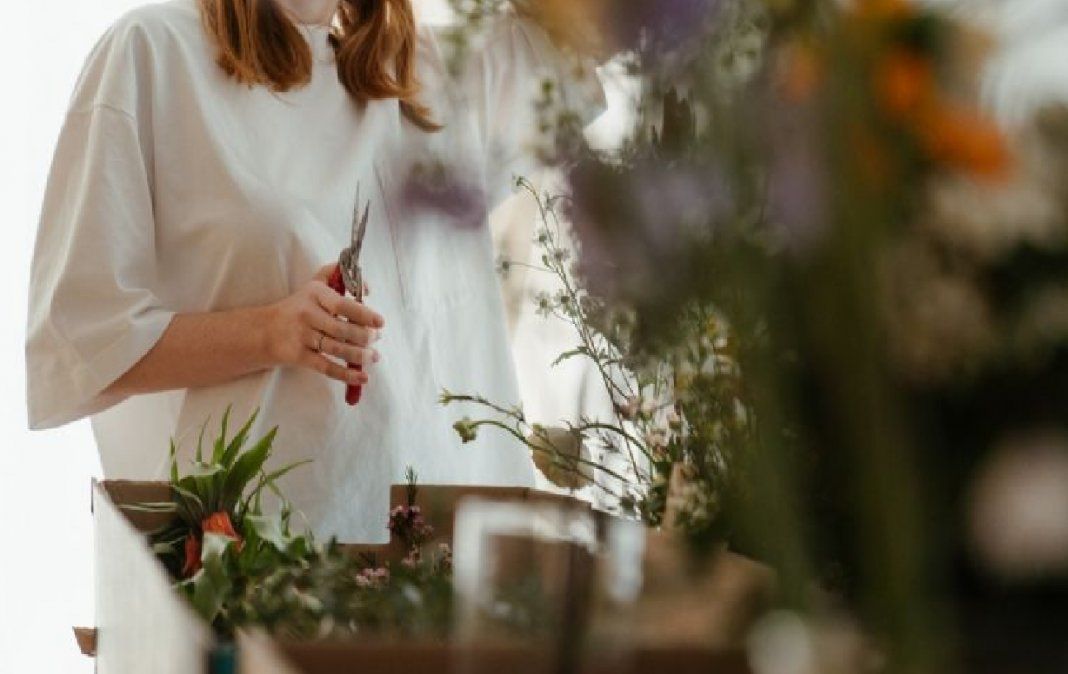 3 trucos para revivir plantas marchitas