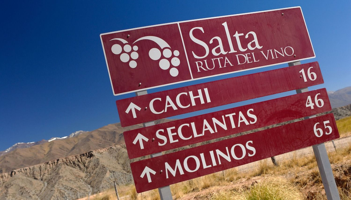 Ruta del Vino