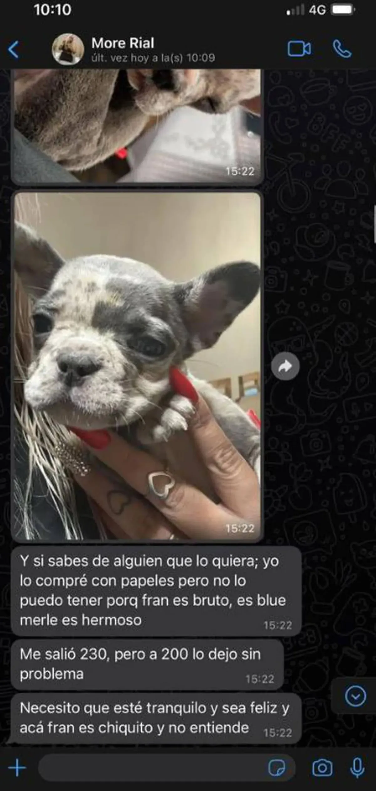 More Rial vende un cachorro a 200 mil. More Rial vende un cachorro a 200 mil.