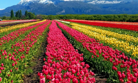 La Patagonia Argentina es uno de los destinos ideales para recorrer en septiembre. La Patagonia Argentina es uno de los destinos ideales para recorrer en septiembre.