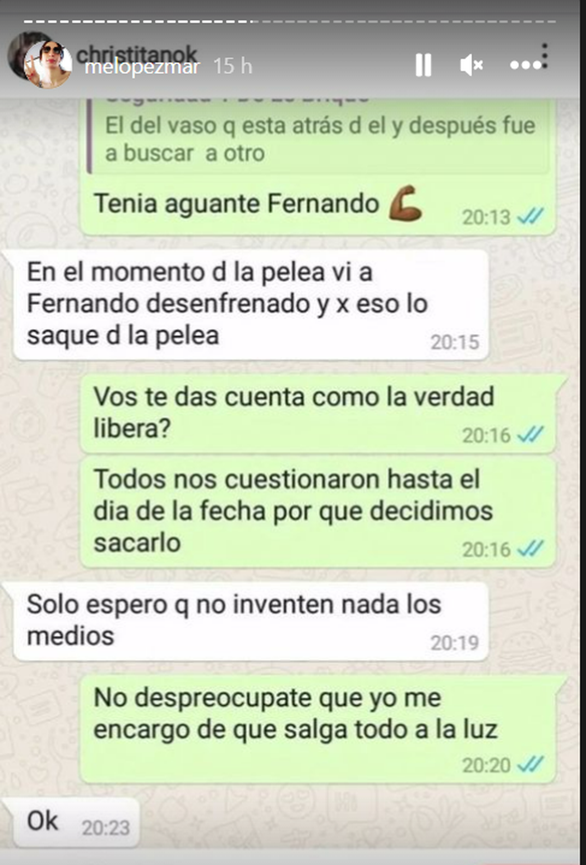 Los mensajes de whatsaap de Fabián Ávila, exseguridad del local Le Brique.