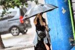 Se esperan bancos de niebla matinales y lluvias persistentes de cara al fin de semana. Se esperan bancos de niebla matinales y lluvias persistentes de cara al fin de semana.