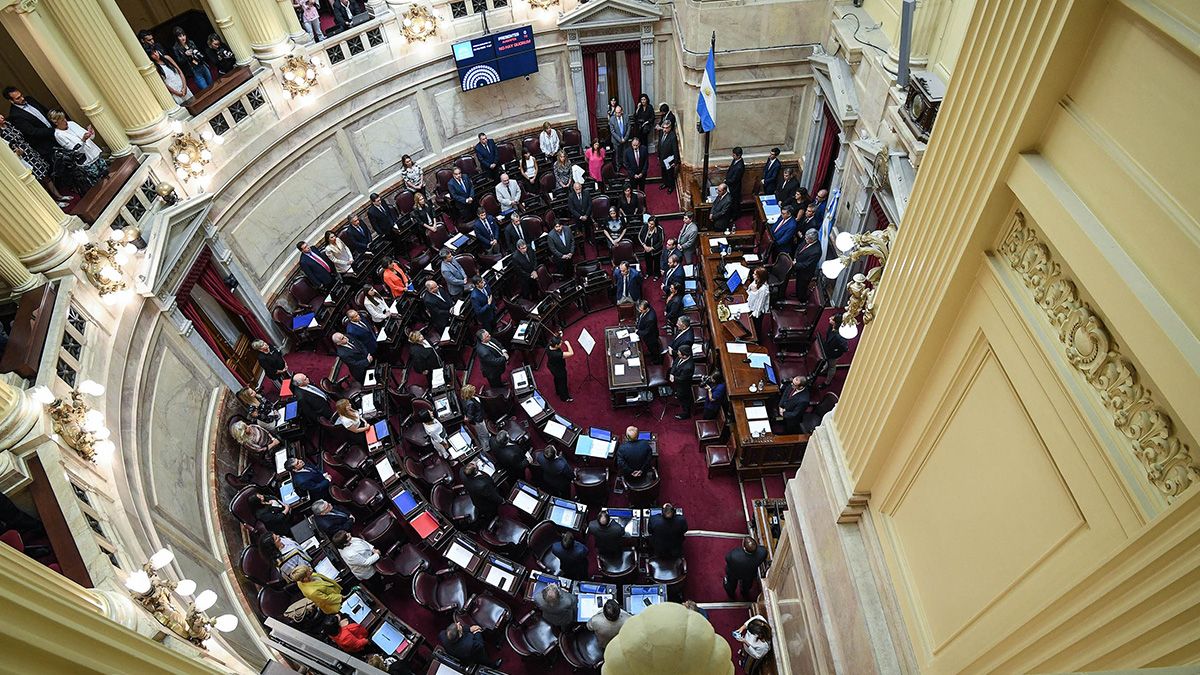 Senado de la Naci&oacute;n argentina.