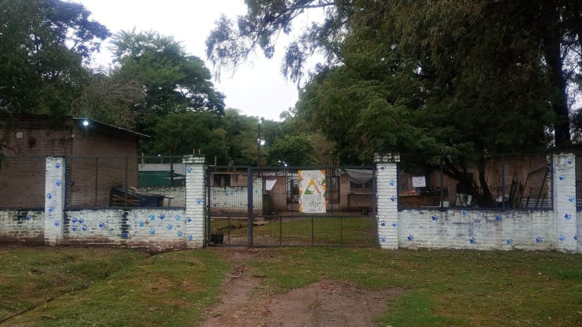 El robo ocurrió el lunes por la noche en Recreo