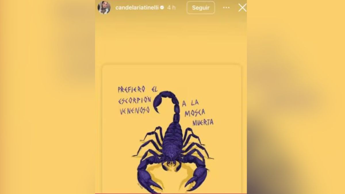 Cande Tinelli redobló la apuesta y lanzó una filosa indirecta a través de sus historias de Instagram. Cande Tinelli redobló la apuesta y lanzó una filosa indirecta a través de sus historias de Instagram. 
