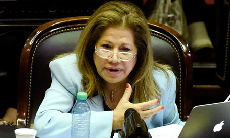 Diputada Camaño Diputada Camaño