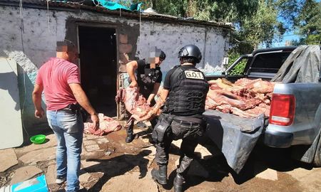 Policías secuestraron la carne tras el hallazgo en el inmueble.&nbsp;