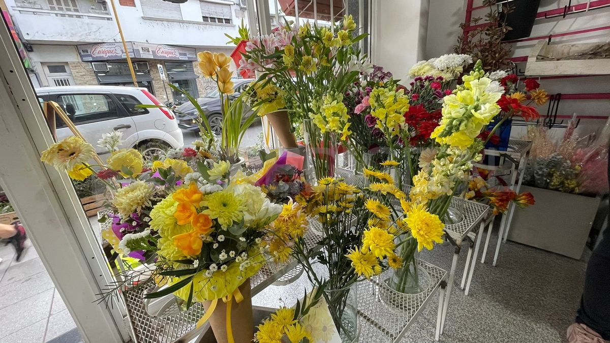 Las flores amarillas anuncian la llegada de la primavera. Las flores amarillas anuncian la llegada de la primavera.