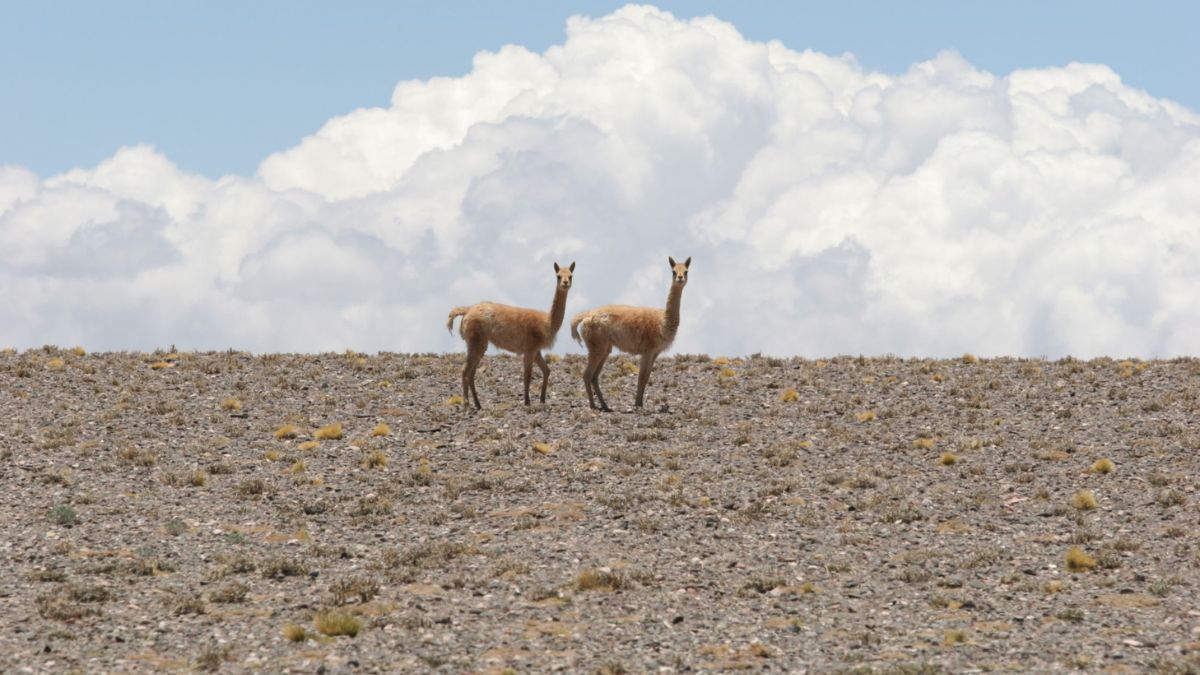 Escapada a un mágico Parque Nacional de San Juan que es el más elegido por los amantes del trekking