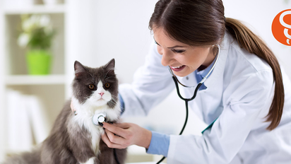 Se conoció cuál es la carrera que se puede estudiar en Santa Fe y promete sueldos altos