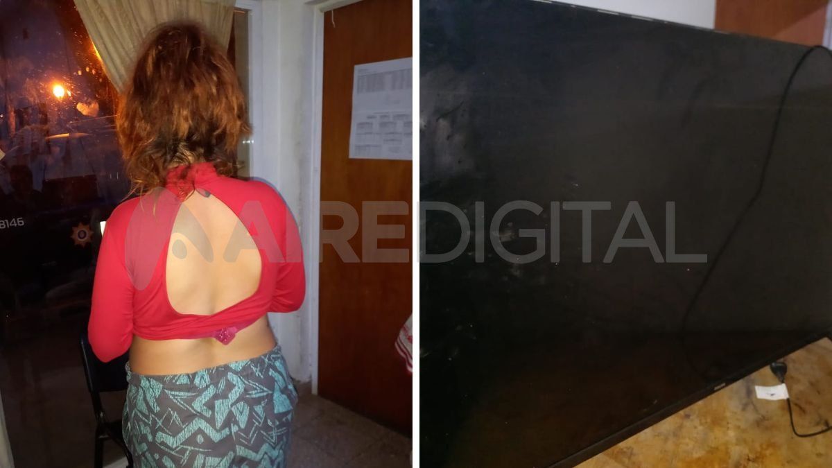 La mujer de 31 años detenida cuando se trasladaba junto a un hombre llevando en un remís el televisor robado.