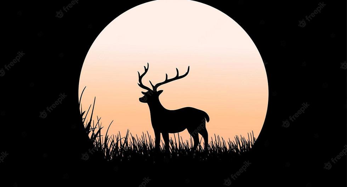 La Superluna de Siervo está asociada al cambio, a una oportunidad de