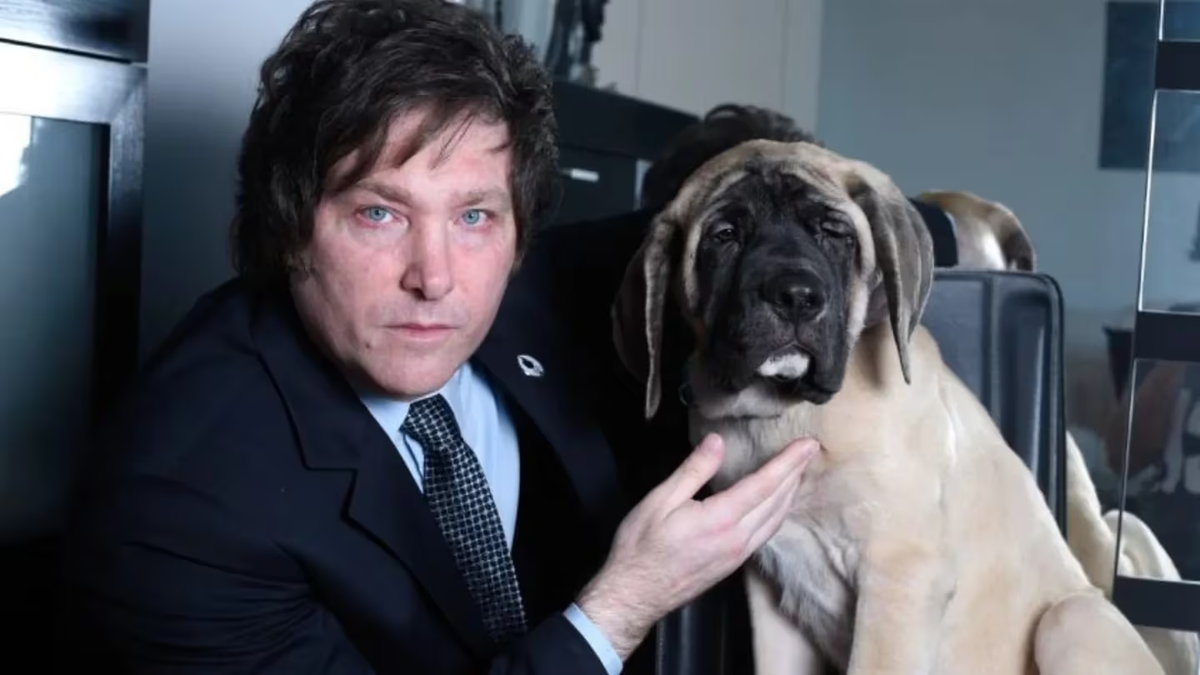 Javier Milei definió, en varias ocasiones, a sus perros como sus "hijos". Javier Milei definió, en varias ocasiones, a sus perros como sus "hijos".