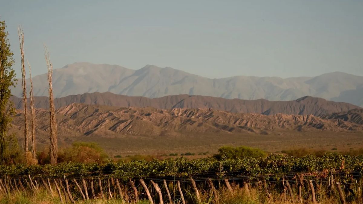 El enoturismo ocupa un lugar central en la vida de Nonogasta. El enoturismo ocupa un lugar central en la vida de Nonogasta.