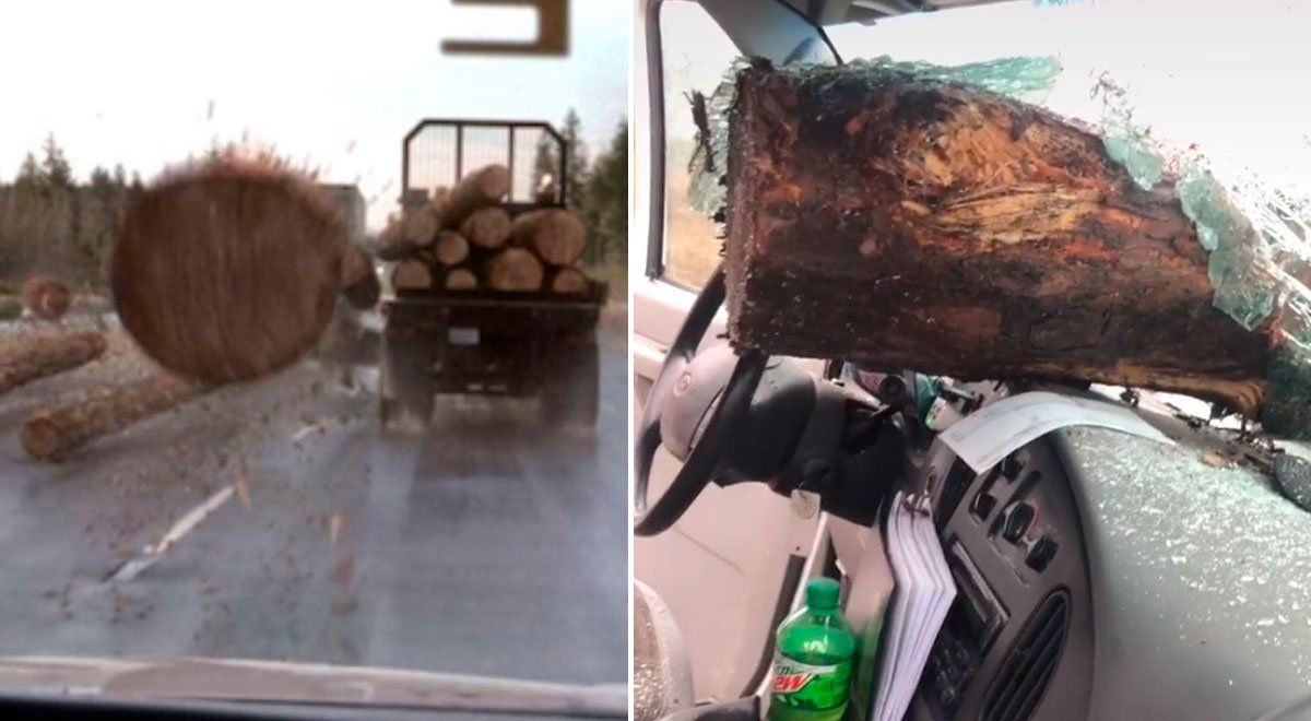 Un tronco se desprendió de un camión de carga mientras circulaban por la autopista.