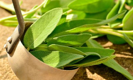 Los beneficios de la salvia para el hogar. Los beneficios de la salvia para el hogar.