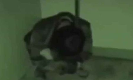 Video viral: terror en las redes por una mujer poseída en un baño público Video viral: terror en las redes por una mujer poseída en un baño público