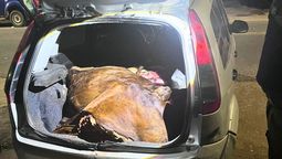 dos cuatreros con carne en el auto: faenaron en arroyo leyes y cayeron en constituyentes