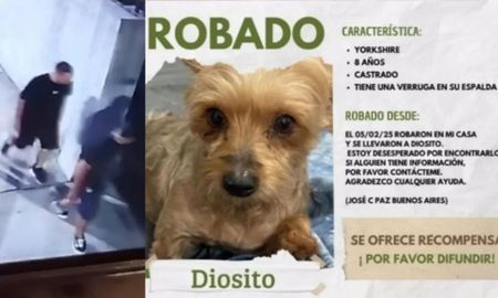 Asaltaron a una mujer en José C Paz y le robaron el perro Asaltaron a una mujer en José C Paz y le robaron el perro