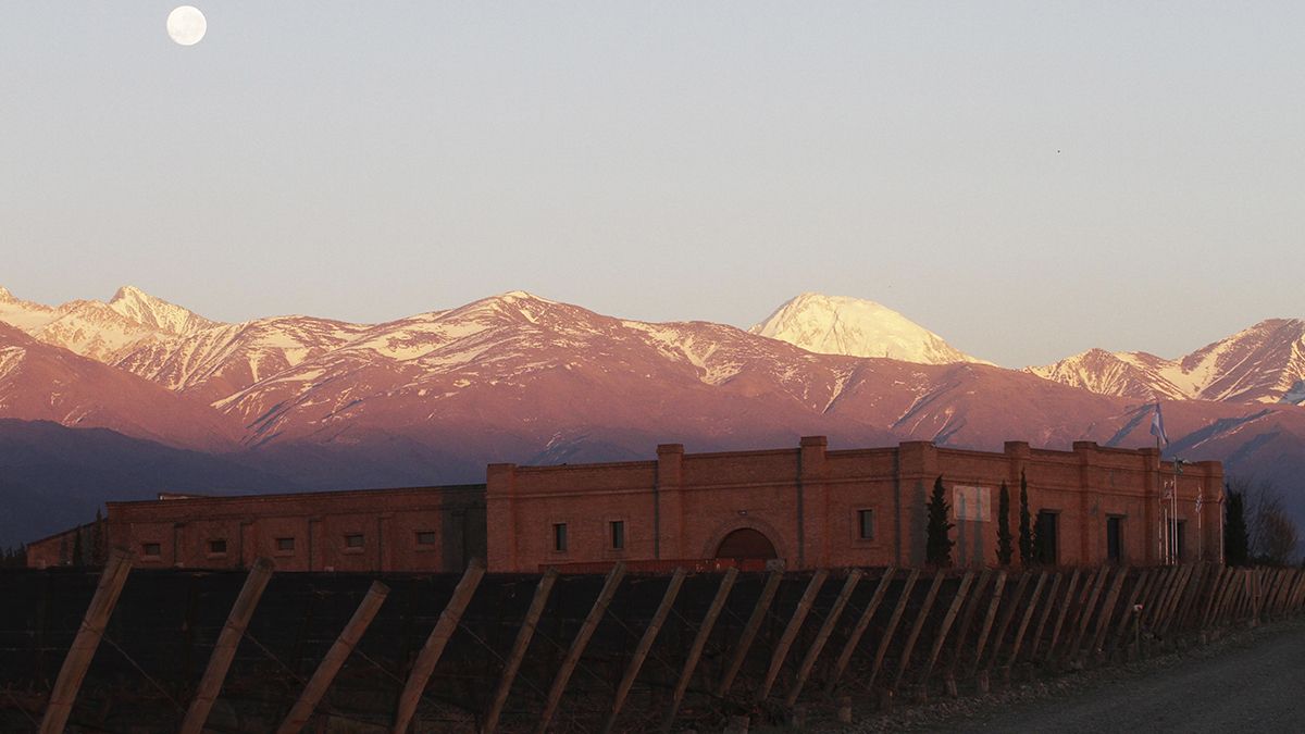 Mendoza será sede de Grandes Capitales del Vino en 2022
