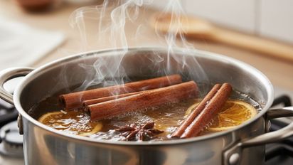 Hervir canela: el truco casero que transforma el ambiente de tu casa